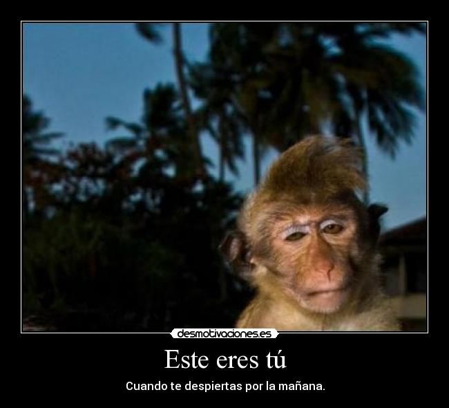 Este eres tú - Cuando te despiertas por la mañana.