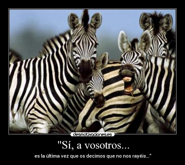 Sí, a vosotros... - es la última vez que os decimos que no nos rayéis...