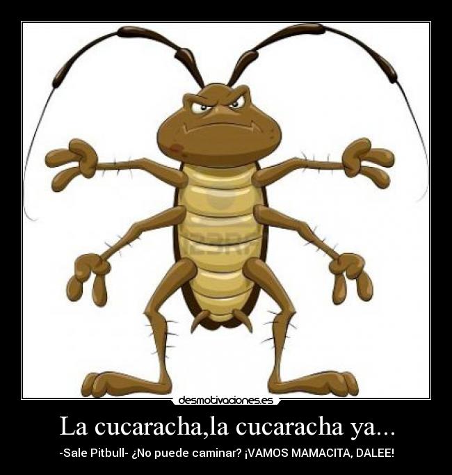 La cucaracha,la cucaracha ya... - -Sale Pitbull- ¿No puede caminar? ¡VAMOS MAMACITA, DALEE!