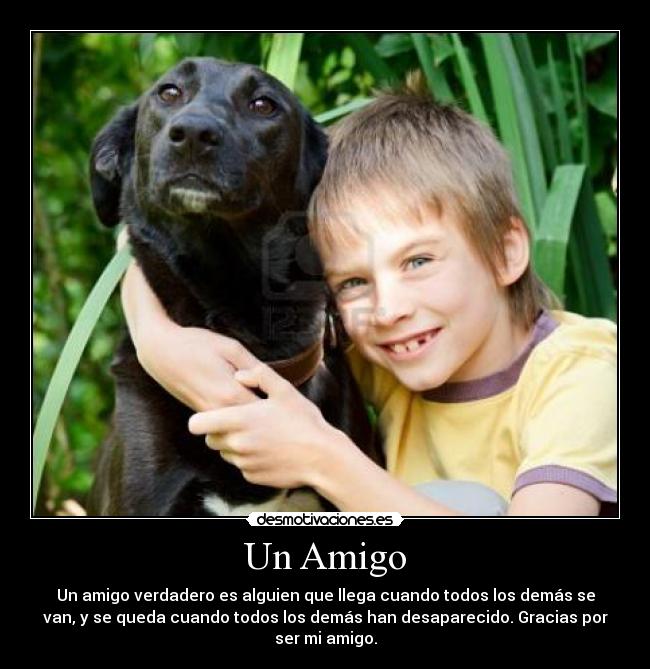 Un Amigo - 