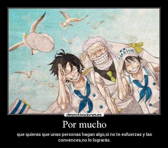 carteles ace luffy garp marina one piece gaviota ladrona xdd desmotivaciones