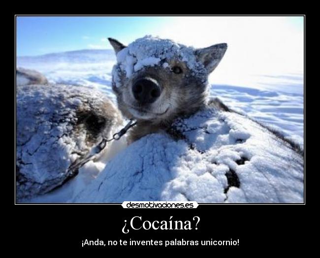 ¿Cocaína? -