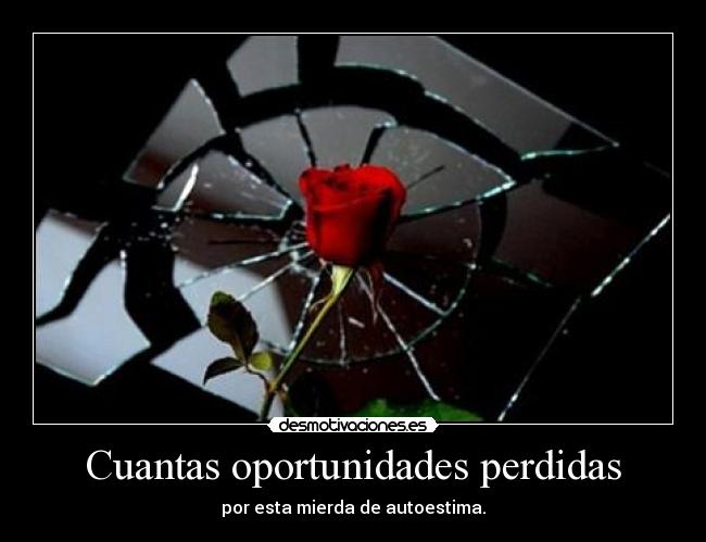 Cuantas oportunidades perdidas - 
