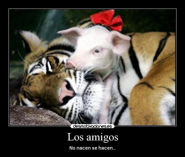 Los amigos - 