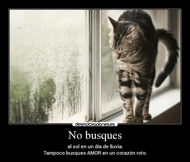 No busques -