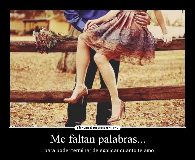 carteles para poder terminar explicar cuanto amo desmotivaciones