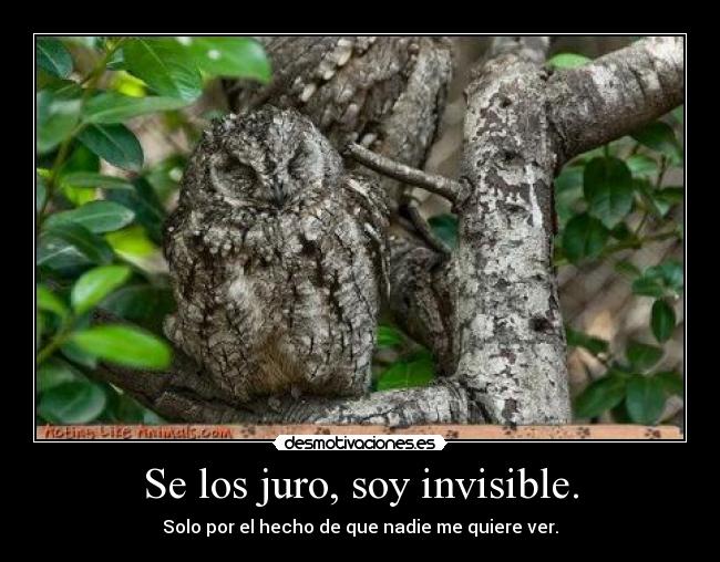 Se los juro, soy invisible. - Solo por el hecho de que nadie me quiere ver.