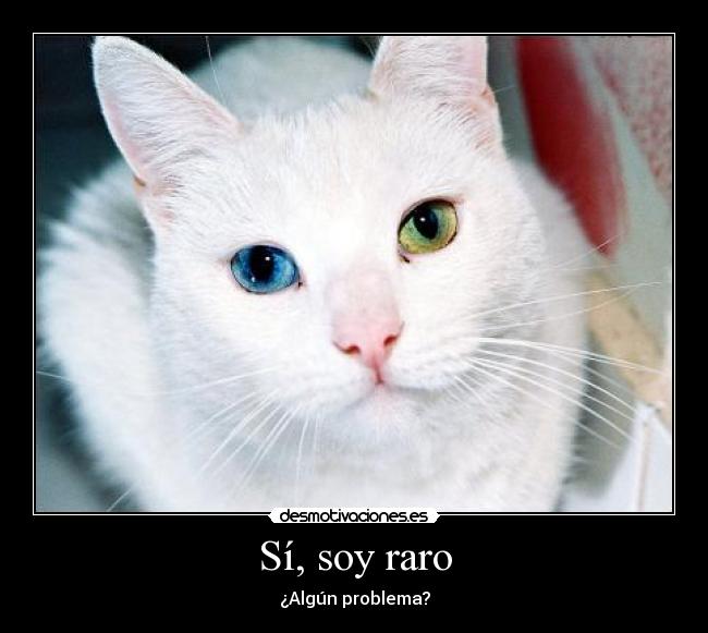 Sí, soy raro - ¿Algún problema?