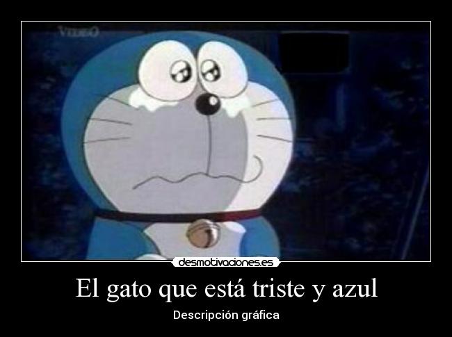 El gato que está triste y azul -
