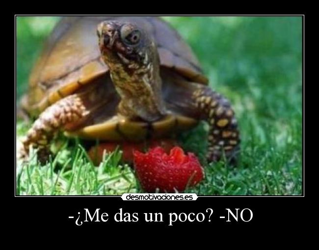 -¿Me das un poco? -NO -