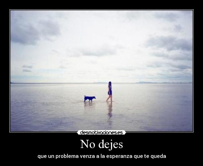 No dejes - 