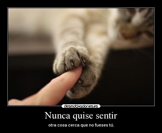 Nunca quise sentir - 