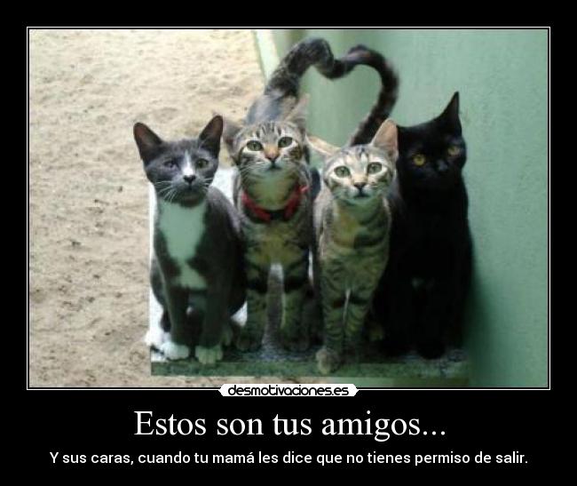 Estos son tus amigos... - Y sus caras, cuando tu mamá les dice que no tienes permiso de salir.