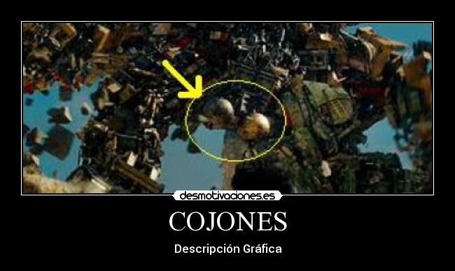COJONES - Descripción Gráfica