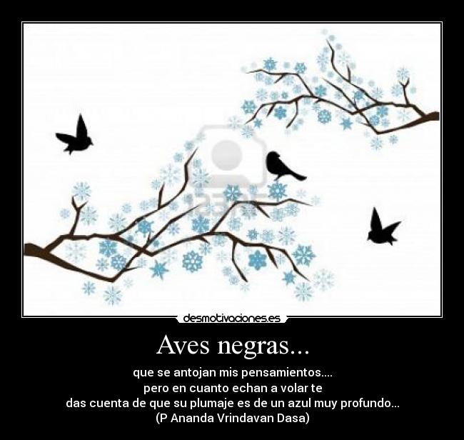 Aves negras... - que se antojan mis pensamientos....
pero en cuanto echan a volar te
das cuenta de que su plumaje es de un azul muy profundo...
(P Ananda Vrindavan Dasa)
