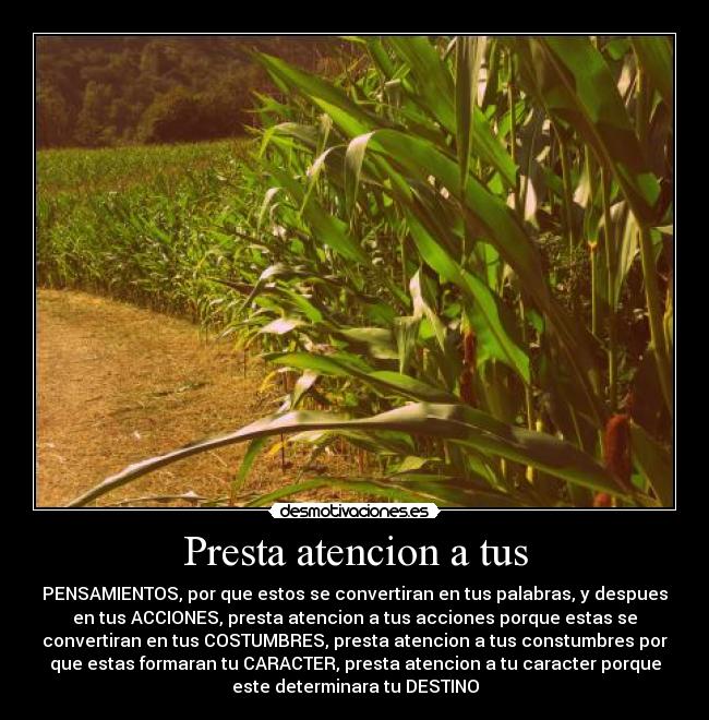 Presta atencion a tus - PENSAMIENTOS, por que estos se convertiran en tus palabras, y despues
en tus ACCIONES, presta atencion a tus acciones porque estas se
convertiran en tus COSTUMBRES, presta atencion a tus constumbres por
que estas formaran tu CARACTER, presta atencion a tu caracter porque
este determinara tu DESTINO