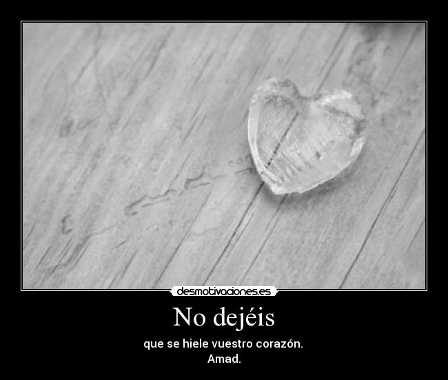 No dejéis - que se hiele vuestro corazón. 
Amad.