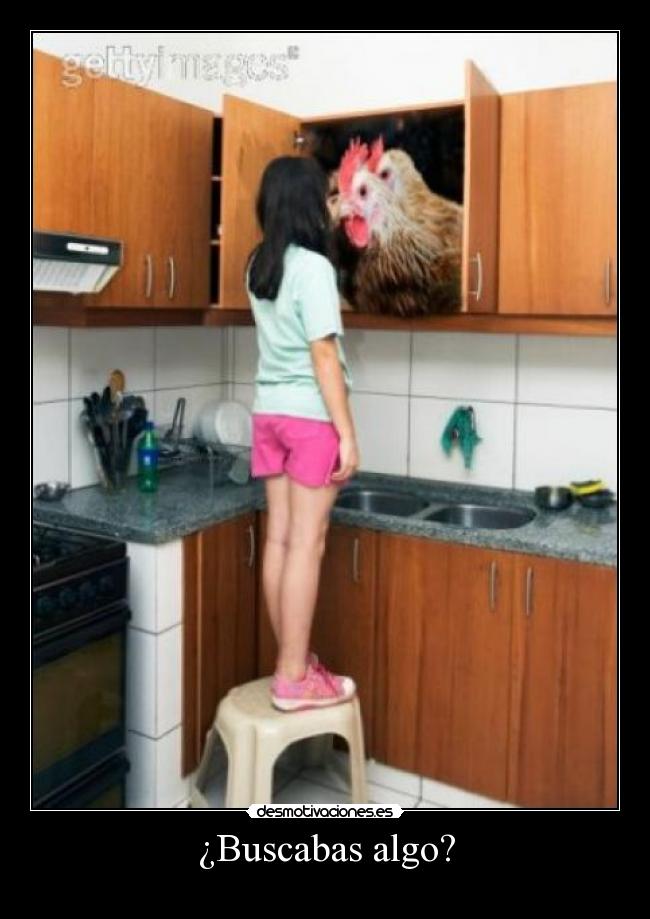 carteles gallo cocina chica risa gigante principal desmotivaciones