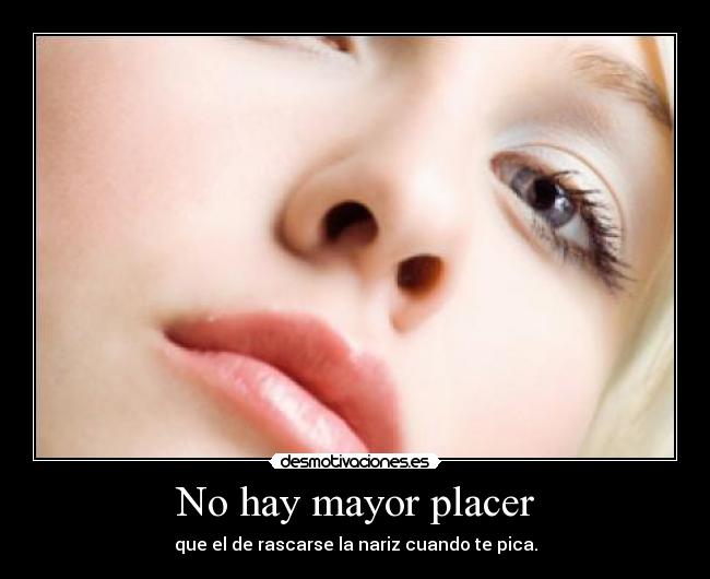 No hay mayor placer - que el de rascarse la nariz cuando te pica.