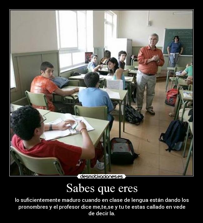 carteles clase lengua desmotivaciones