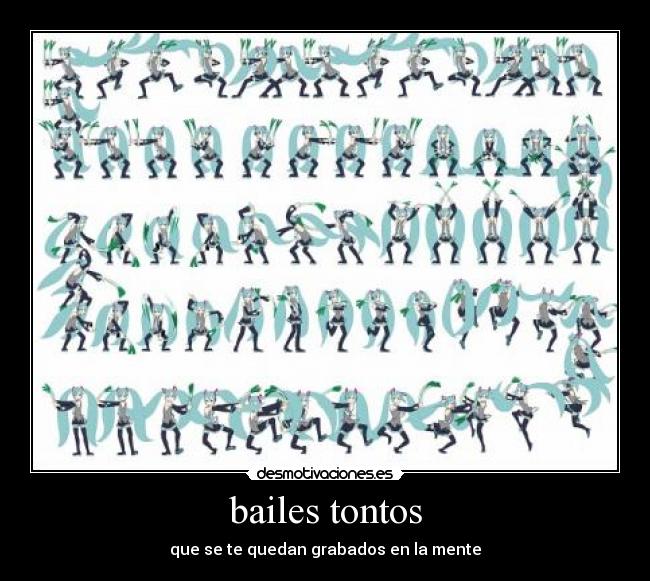 bailes tontos - 