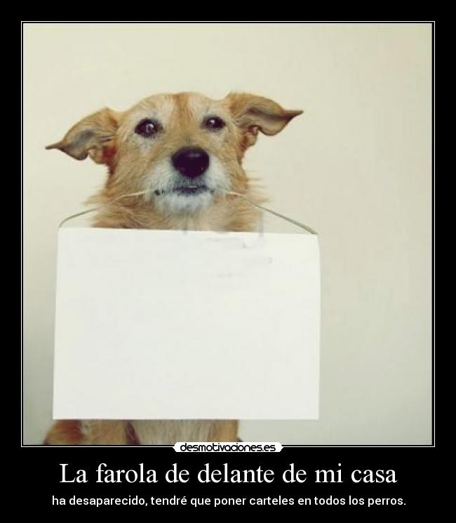 La farola de delante de mi casa - ha desaparecido, tendré que poner carteles en todos los perros.