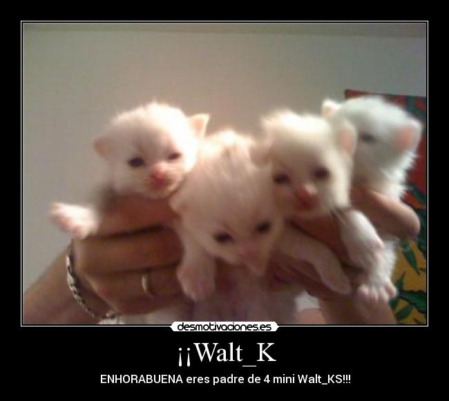 ¡¡Walt_K - 
