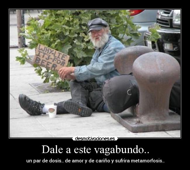 Dale a este vagabundo.. - un par de dosis.. de amor y de cariño y sufrira metamorfosis..