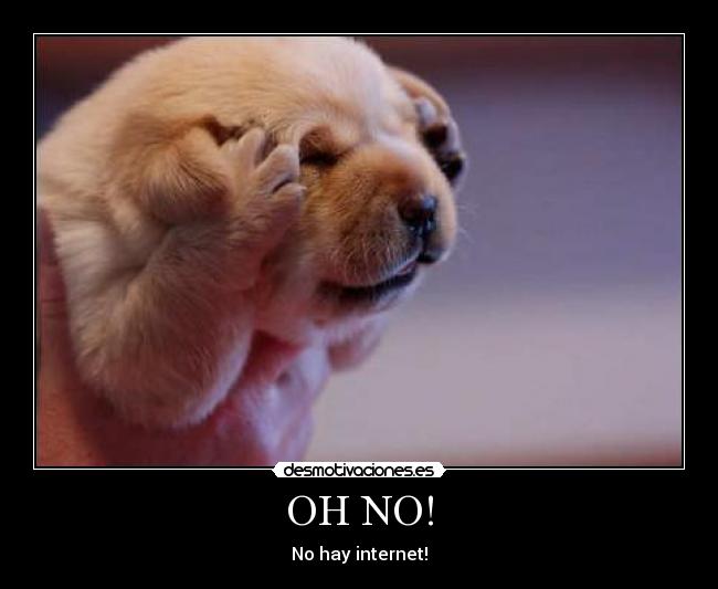 OH NO! - No hay internet!