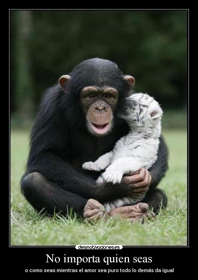 No importa quien seas - o como seas mientras el amor sea puro todo lo demás da igual