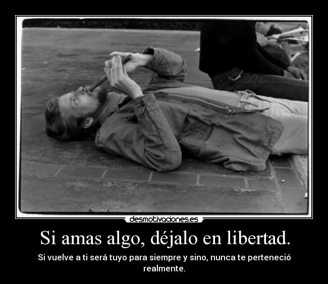 carteles libertad amar desmotivaciones