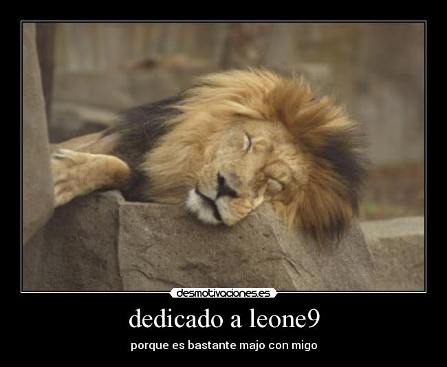 carteles jajjajajajaj que somos leones huevones desmotivaciones