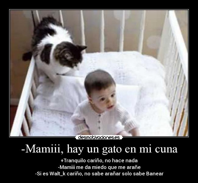 -Mamiii, hay un gato en mi cuna - +Tranquilo cariño, no hace nada
-Mamiii me da miedo que me arañe
-Si es Walt_k cariño, no sabe arañar solo sabe Banear