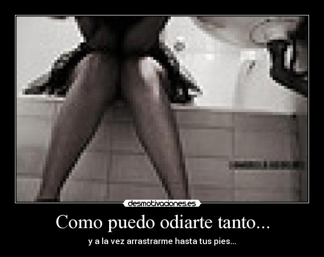 Como puedo odiarte tanto... - y a la vez arrastrarme hasta tus pies...