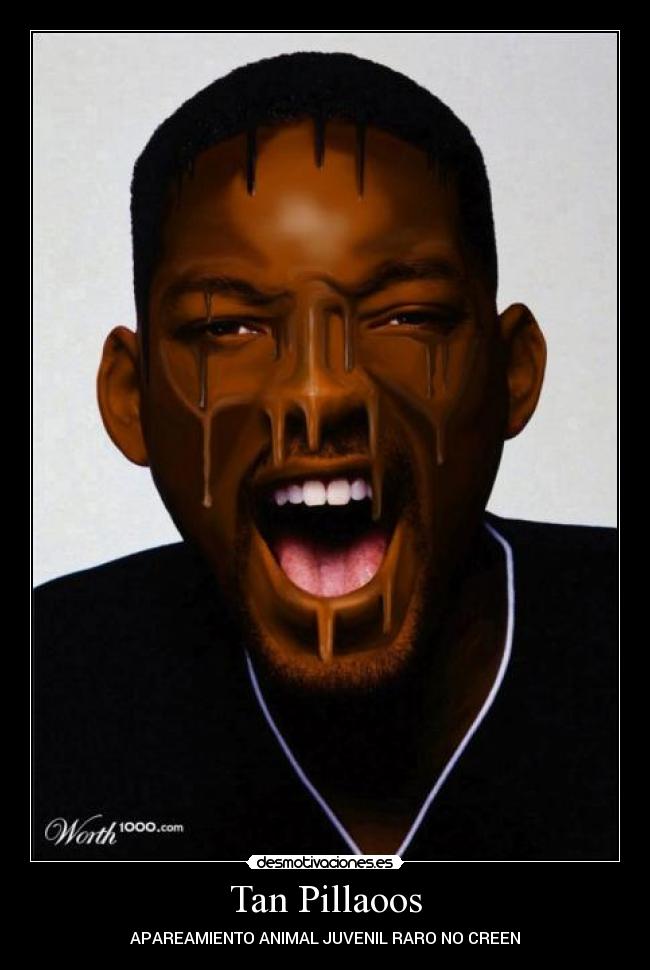 carteles tortugas cachondas desmotivaciones