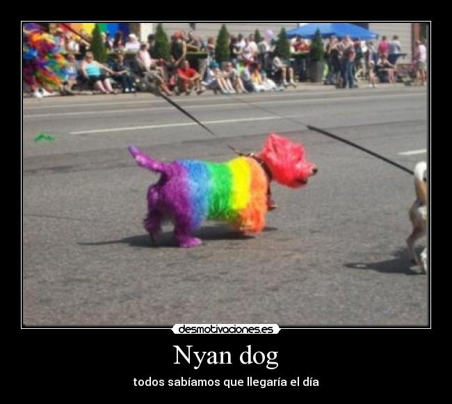 Nyan dog - todos sabíamos que llegaría el día