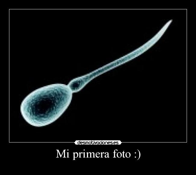 Mi primera foto :) - 