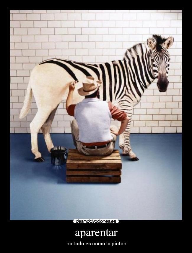 carteles zebra aparentar pintar todo verdad desmotivaciones