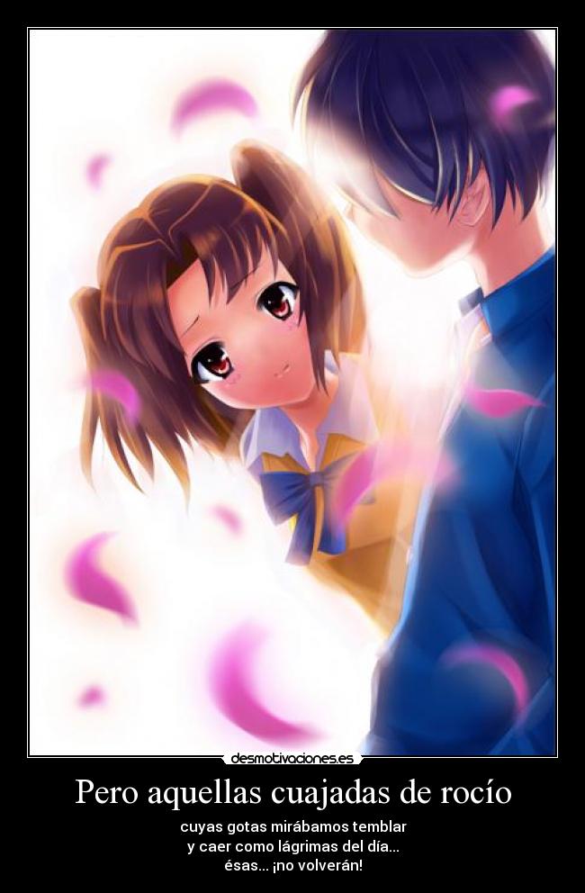 Pero aquellas cuajadas de rocío - cuyas gotas mirábamos temblar
y caer como lágrimas del día...
ésas... ¡no volverán!