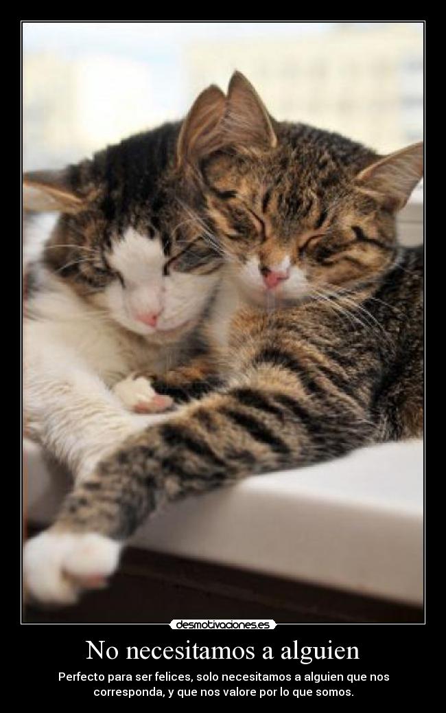 No necesitamos a alguien - Perfecto para ser felices, solo necesitamos a alguien que nos
corresponda, y que nos valore por lo que somos.