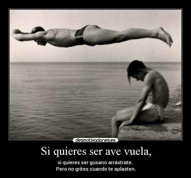 Si quieres ser ave vuela, - si quieres ser gusano arrástrate. 
Pero no grites cuando te aplasten.