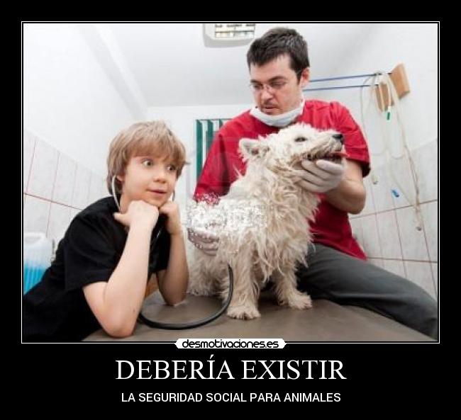 DEBERÍA EXISTIR - 