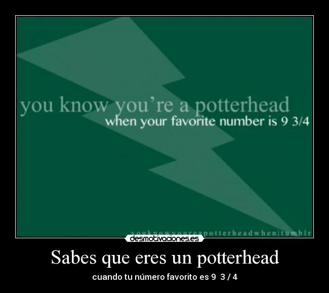 Sabes que eres un potterhead -