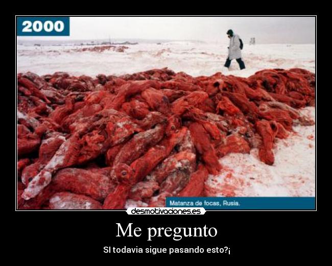 Me pregunto - SI todavia sigue pasando esto?¡