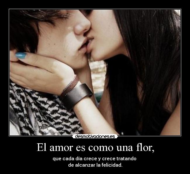 El amor es como una flor, -