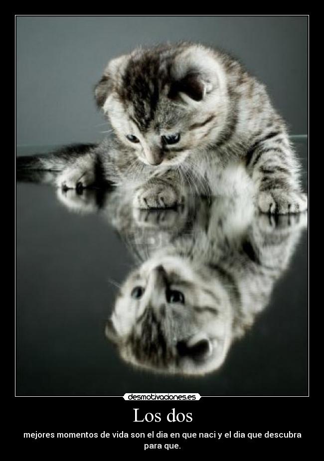 Los dos - mejores momentos de vida son el dia en que naci y el dia que descubra para que.