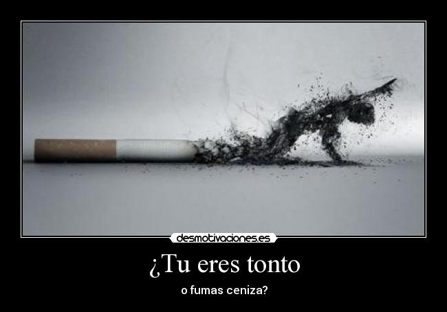 ¿Tu eres tonto - 