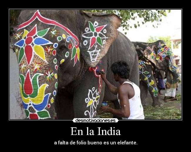 En la India - a falta de folio bueno es un elefante.