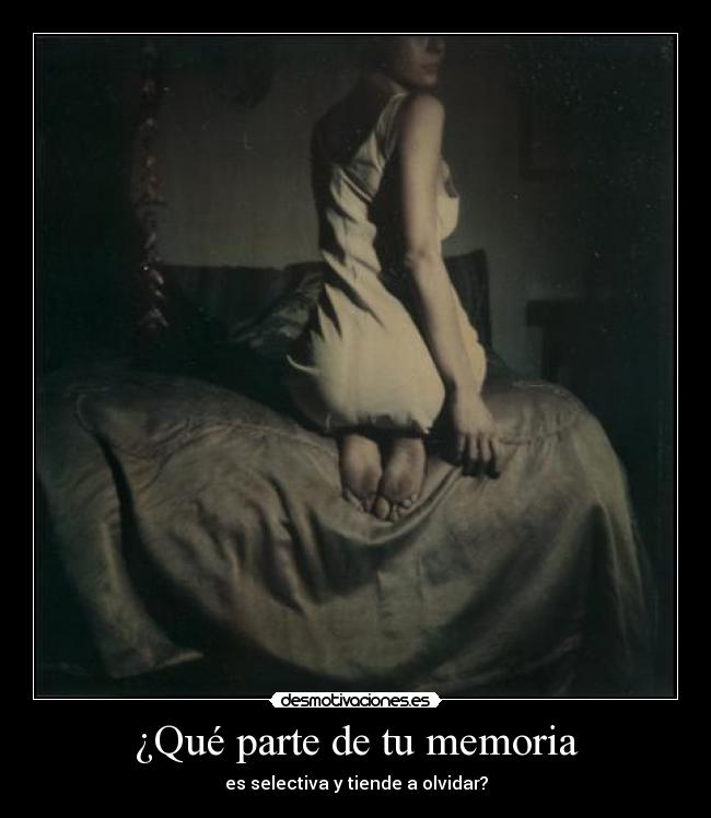 carteles alanis morisette desmotivaciones