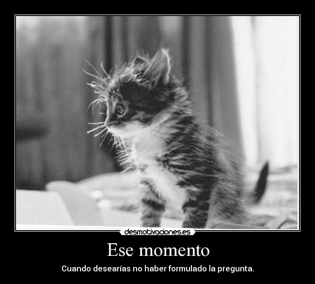 carteles quieres saberlo preguntes little monsters hipsters nanana desmotivaciones